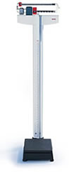 seca mechanical beam scale