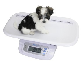 puppy and kitten weight scales