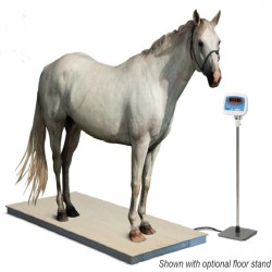 Salter Brecknell PS3000 Equestrian Scale