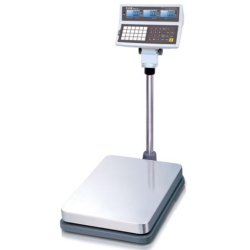 https://www.1800scales.com/media/cas-corp-eb-series-industrial-style-price-computing-scale.jpg