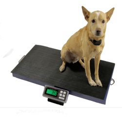 60 lb x 0.02 lb/0.2 oz - 25 x 16 Low Cost Animal Weighing Scale